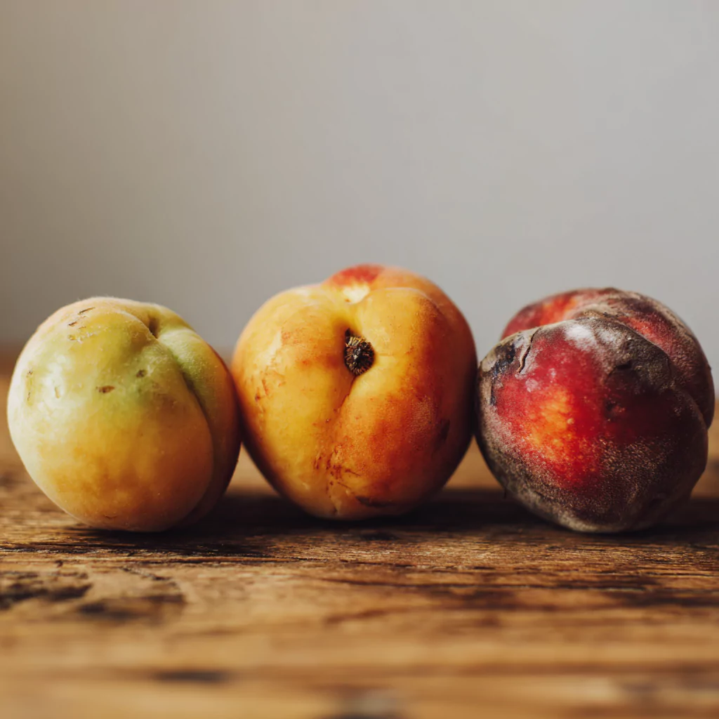 Comparison of underripe, ripe, and overripe peaches for baking