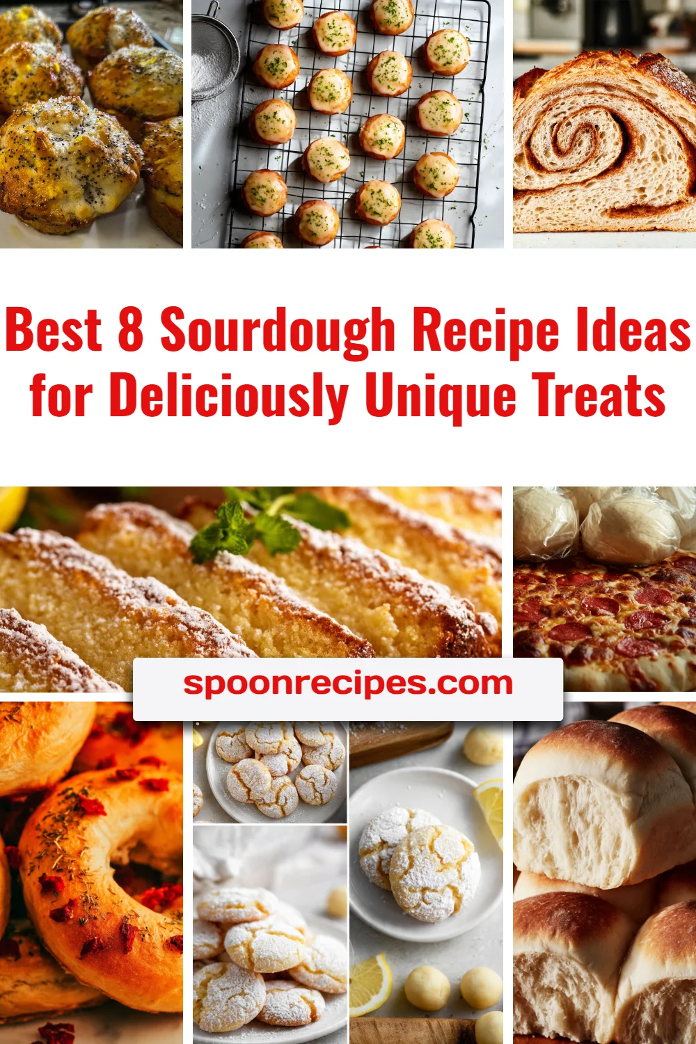 A collection of delicious sourdough recipes featuring unique treats for baking.