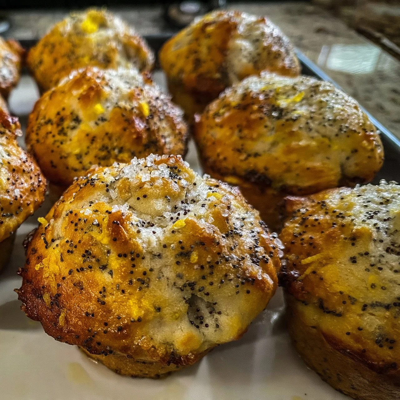 Sourdough Discard Lemon Poppy Seed Muffins