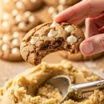 Plate of delicious cappuccino cookies ready for serving